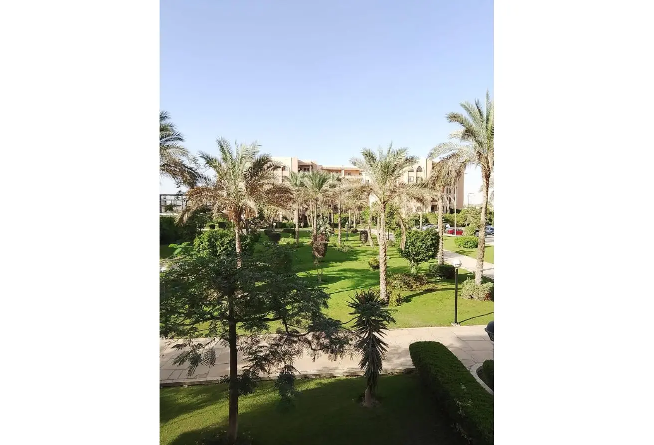 117539154 - الصورة الرئيسية للعقار