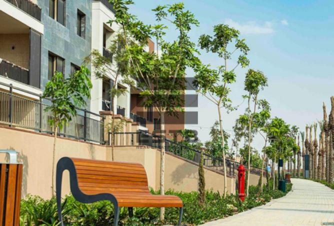 54230733 - Property Image 3