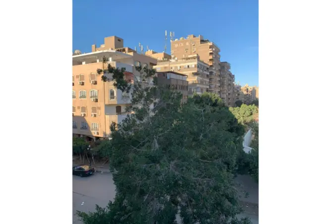 102064290 - صورة العقار 2
