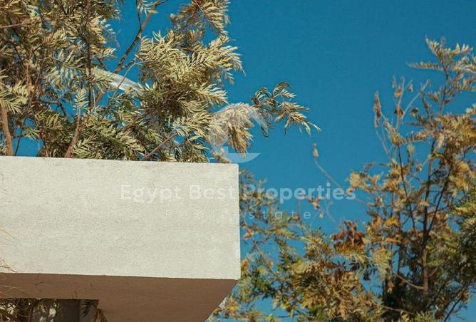 65918094 - صورة العقار 3