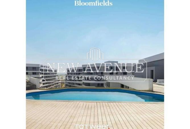 8680179 - Property Image 3