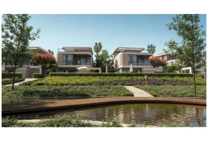 56257725 - Property Image 3