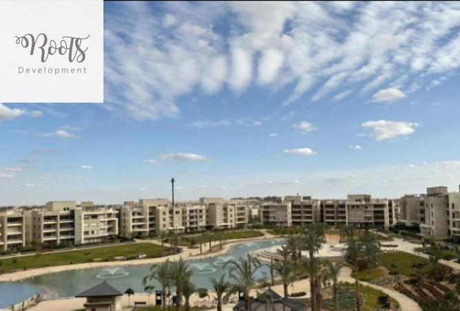 61687491 - Property Image 3