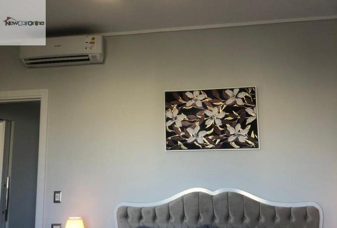 103763796 - Property Image 3