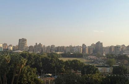 Apartment - 3 Bedrooms - 3 Bathrooms for sale in Shooting Club Street - Dokki - Giza