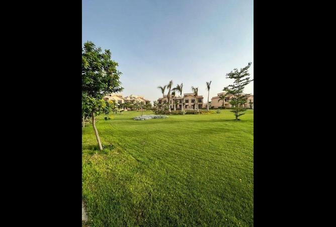 88135691 - Property Image 3