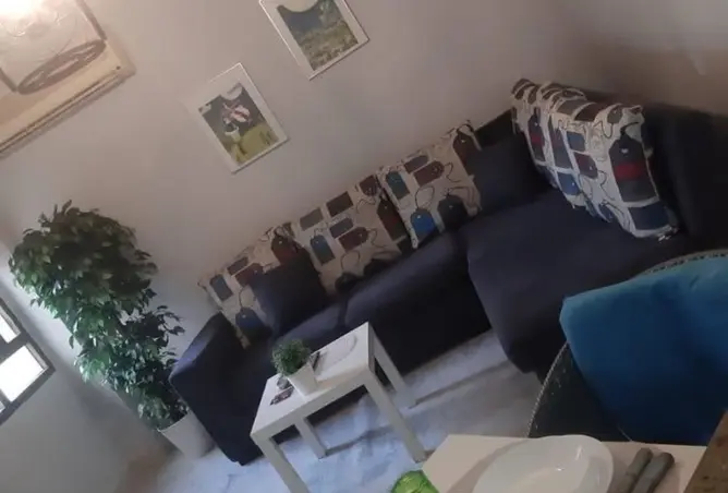 116492534 - Property Image 2