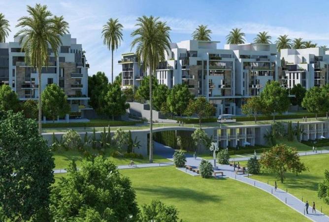 53466747 - Property Image 2