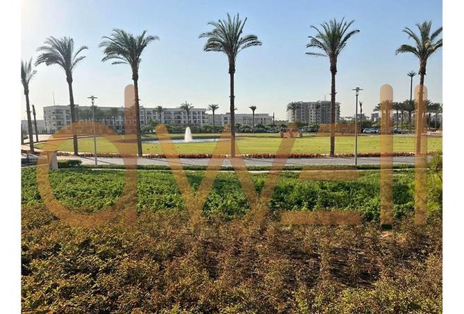 53990043 - Property Image 3