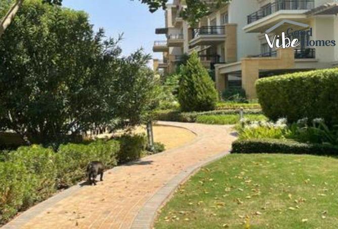 8559058 - Property Image 2