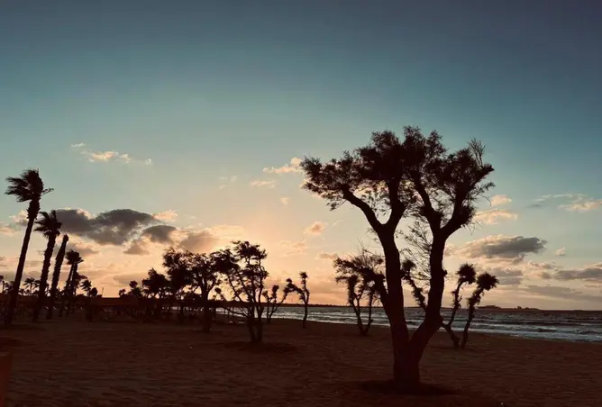 72442958 - صورة العقار 3