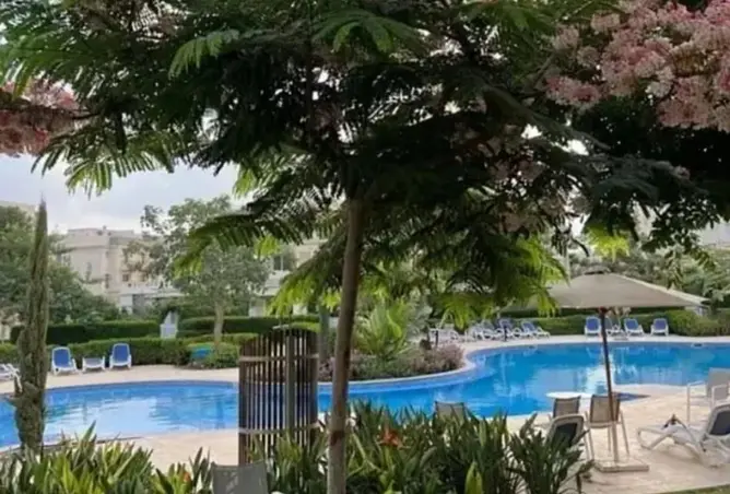 117100859 - صورة العقار 3