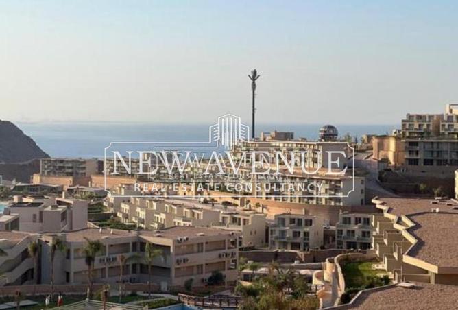 71653287 - Property Main Image