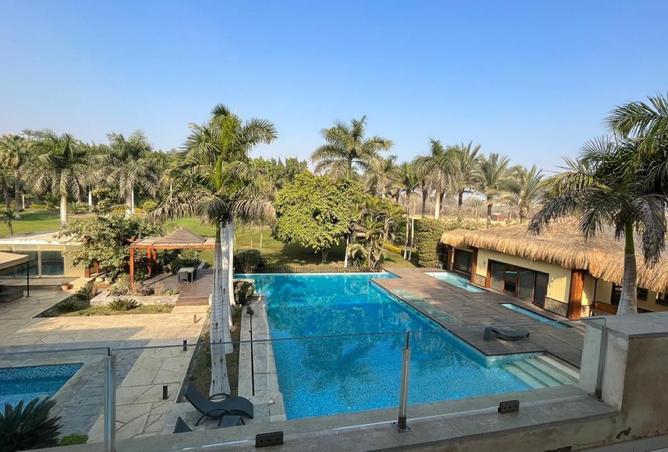 53722809 - Property Image 3