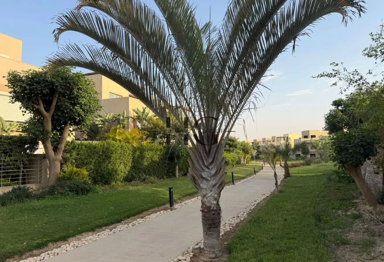 117532662 - Property Main Image
