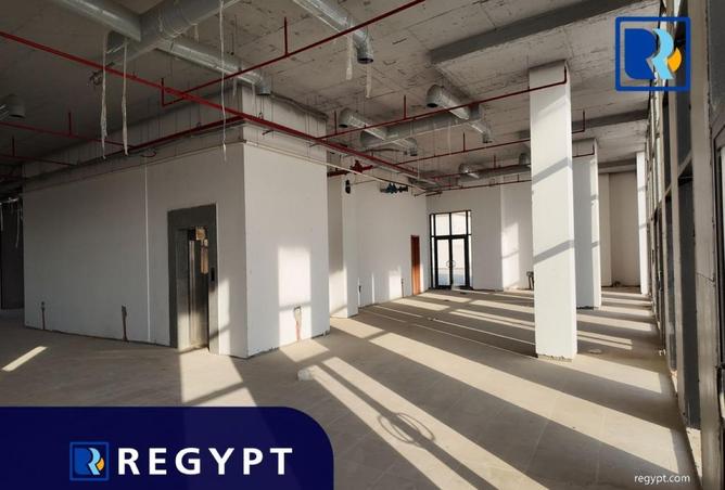 61444915 - Property Image 3