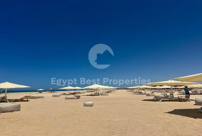 116745681 - صورة العقار 3
