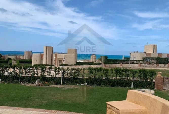 77325791 - Property Image 3