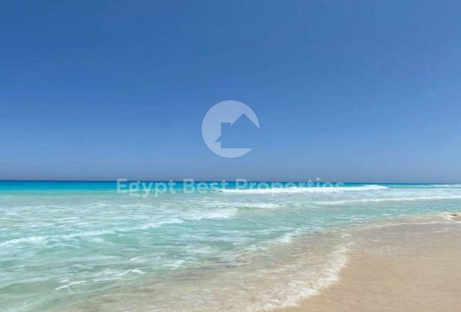 59242513 - Property Image 3