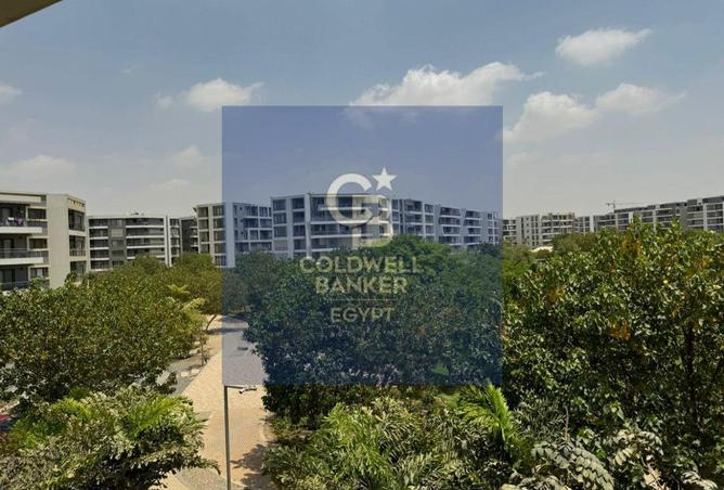 65158305 - الصورة الرئيسية للعقار