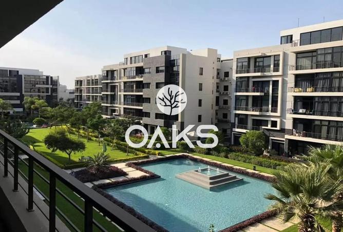 65161236 - Property Image 3