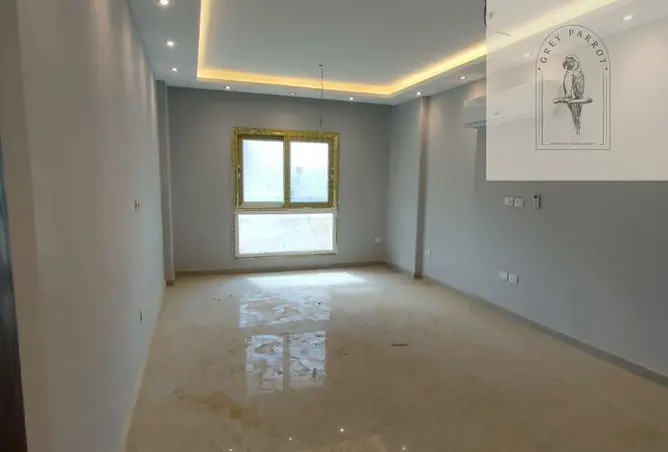 81314509 - صورة العقار 3