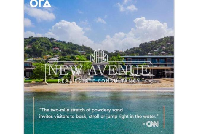 8660441 - Property Image 3