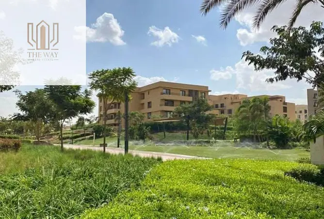 120184838 - Property Image 3