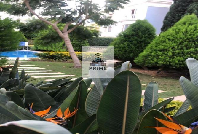 54492854 - Property Image 3