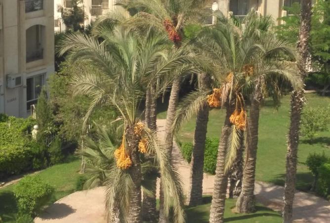 63637765 - صورة العقار 2