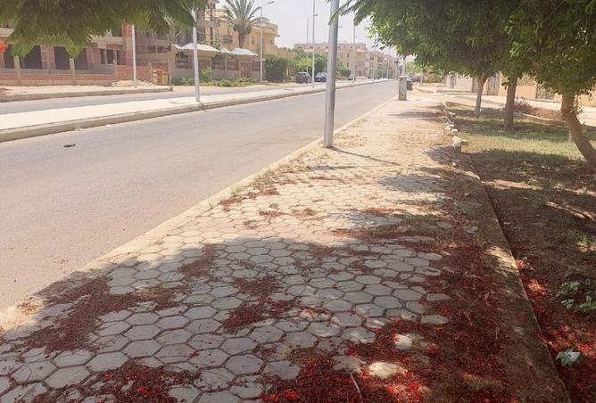 66420877 - صورة العقار 3