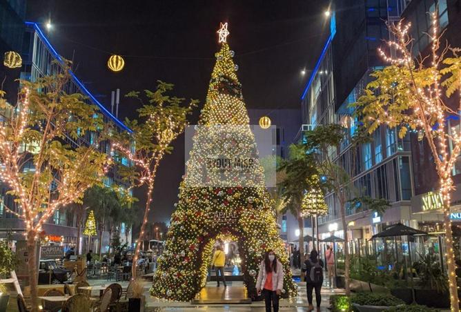 63130233 - صورة العقار 2