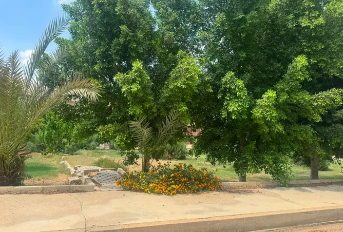104039508 - Property Image 2