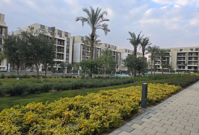 70634808 - صورة العقار 3