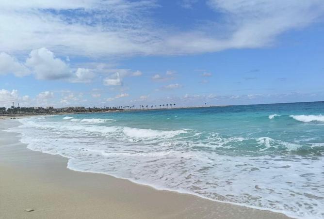 66430623 - Property Image 3