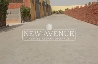 Warehouse - Studio - 1 Bathroom for rent in Al Obour Road - Obour Market - Obour City - Qalyubia