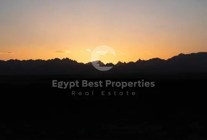 115455571 - Property Image 2