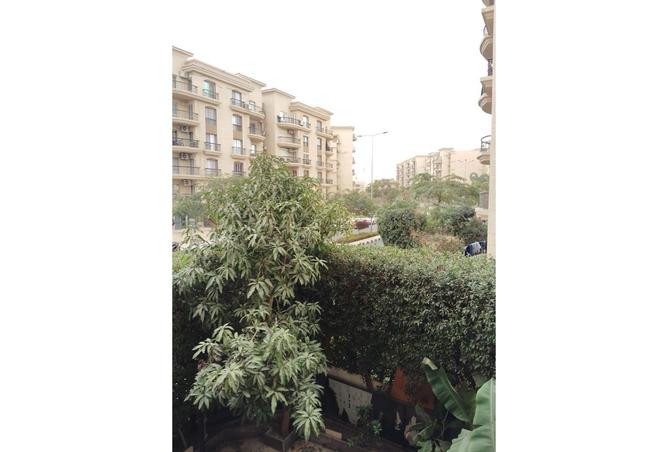 81576869 - Property Main Image