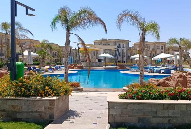 67215206 - صورة العقار 2