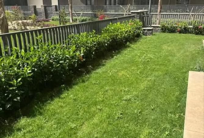 8524118 - Property Image 3