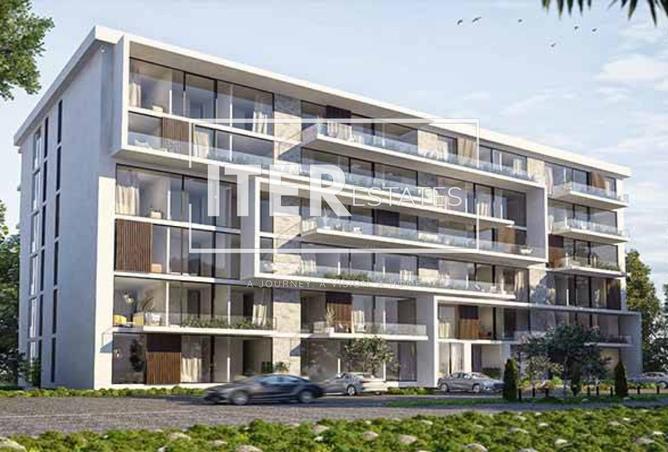 8427045 - Property Image 3