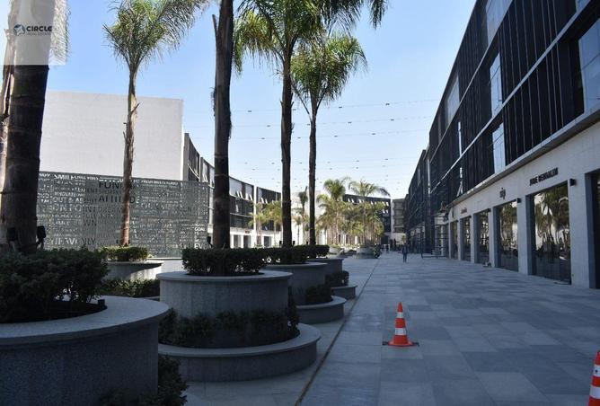 56245376 - Property Image 3