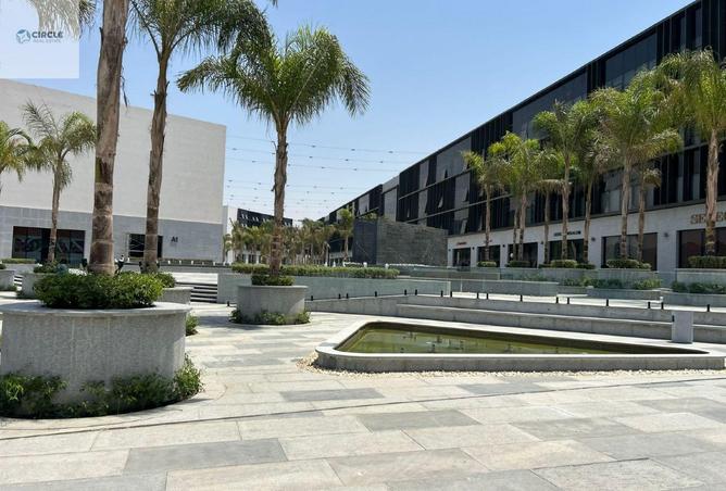 56245376 - Property Image 2