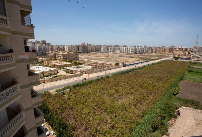 74315659 - الصورة الرئيسية للعقار