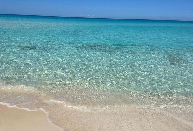 8676386 - صورة العقار 3