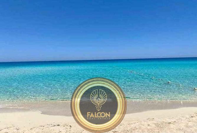 67998327 - Property Image 3