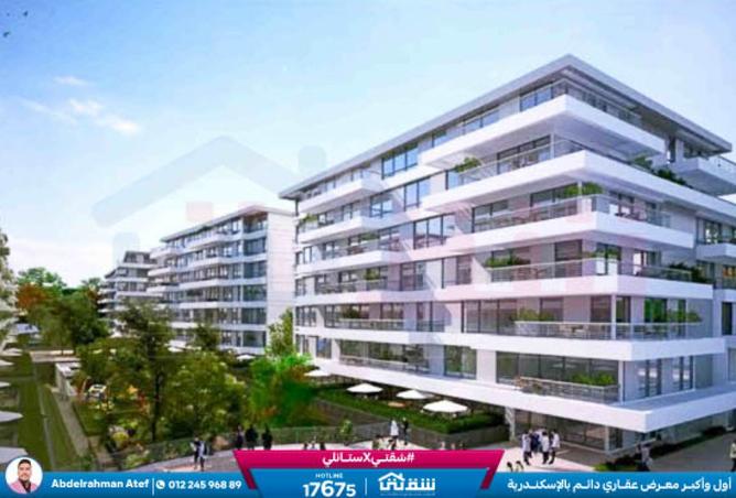 8489454 - Property Image 3