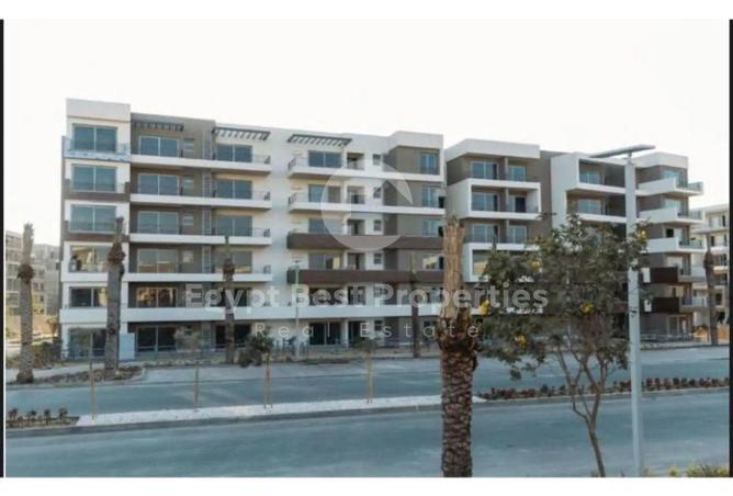 8655530 - Property Image 3