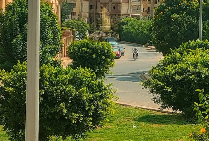 105162264 - صورة العقار 2