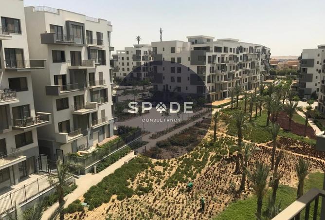 8688698 - صورة العقار 3